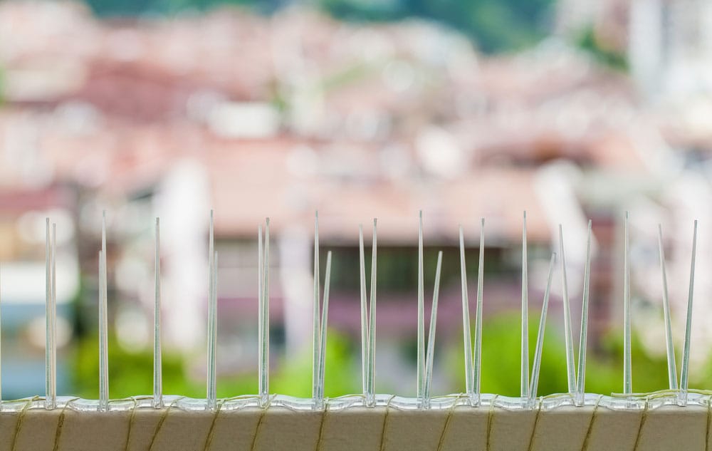 Pikki Safety Nets