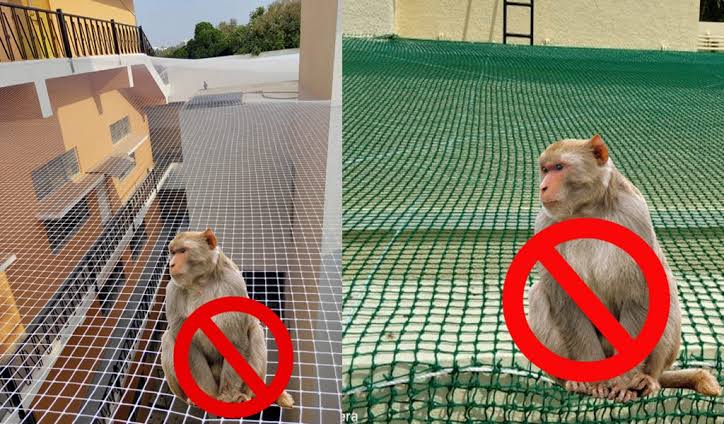 Pikki Safety Nets