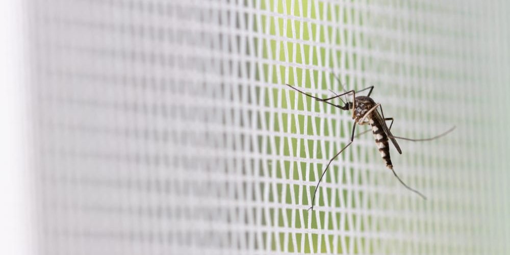 Mosquito Nets Pikki Safety Nets